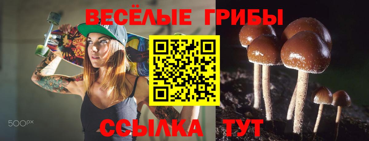 Курган  Галлюциногенные грибы ЛСД  Вход с VPN 